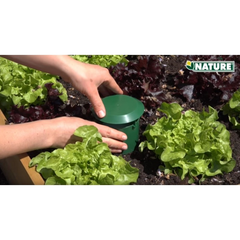 Lot De 6 Pièges à Limaces Et Escargots Pour Jardin - Piège à Bière Écologique En Plastique