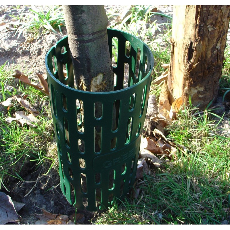 Protection naturelle et recyclable pour pied d'arbre Barrière anti racine — free download