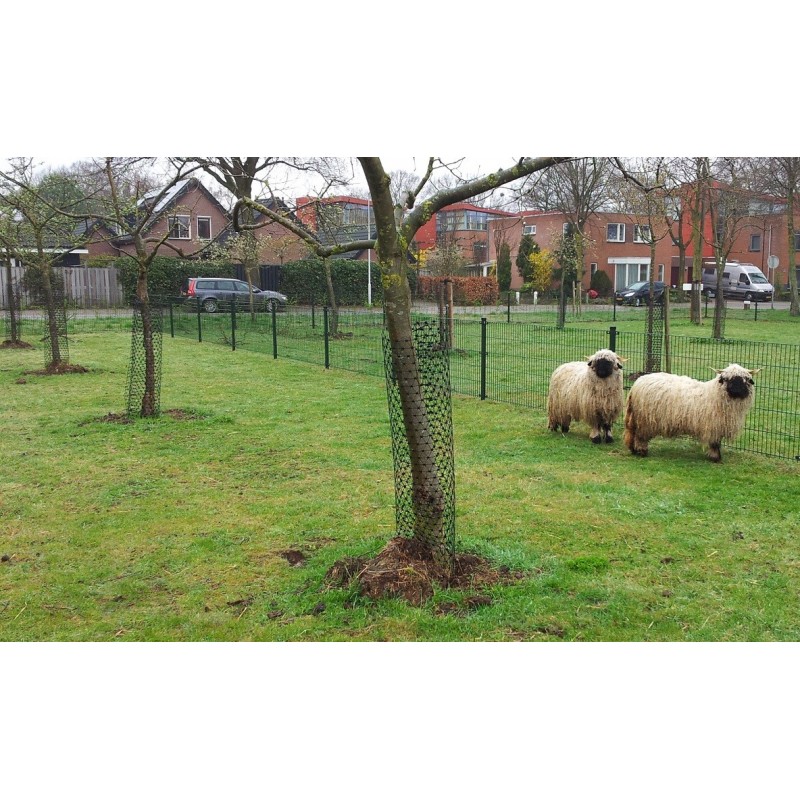 Grillage de protection pour tronc d'arbre contre les agressions des — free download