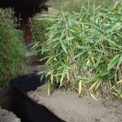 ROOT BLOCK 1900G/M² 2MM